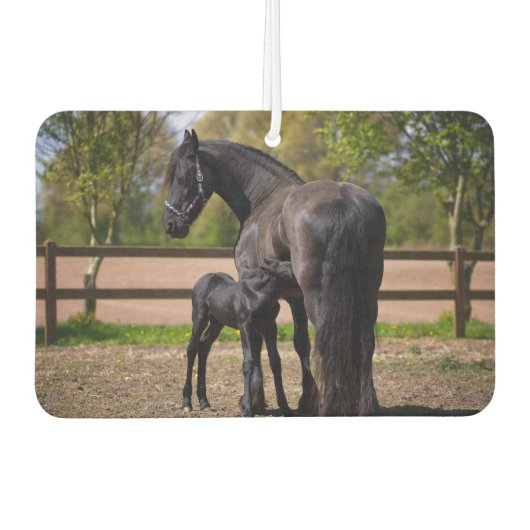 Mama en Baby Paard Luchtverfrisser (Voorkant)
