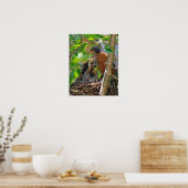 Mama en Baby Robins Poster (Keuken)