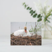 Mama en ik (2) Briefkaart (Staand voorkant)