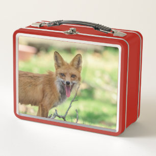Mama Fox in de Hudson-vallei