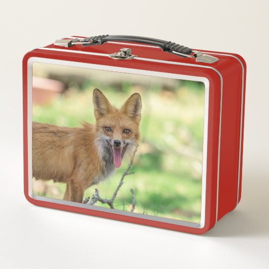 Mama Fox in de Hudson-vallei (Voorkant)