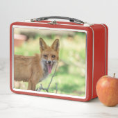 Mama Fox in de Hudson-vallei (In situ)