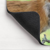 Mama Fox in de Hudson-vallei Muismat (Hoek)