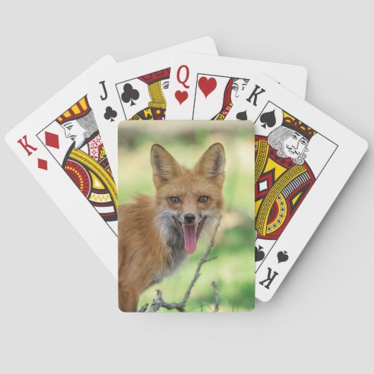 Mama Fox in de Hudson-vallei Pokerkaarten (Achterkant)