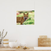 Mama Fox in de Hudson-vallei Poster (Keuken)