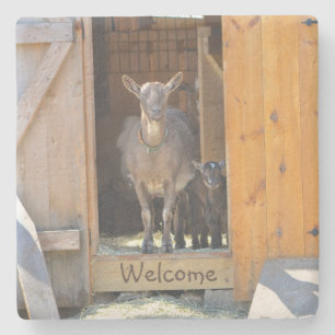 Mama Goat en Baby Stenen Onderzetter