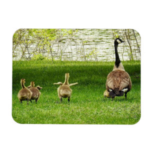 Mama Goose en Goofy Baby Magneet