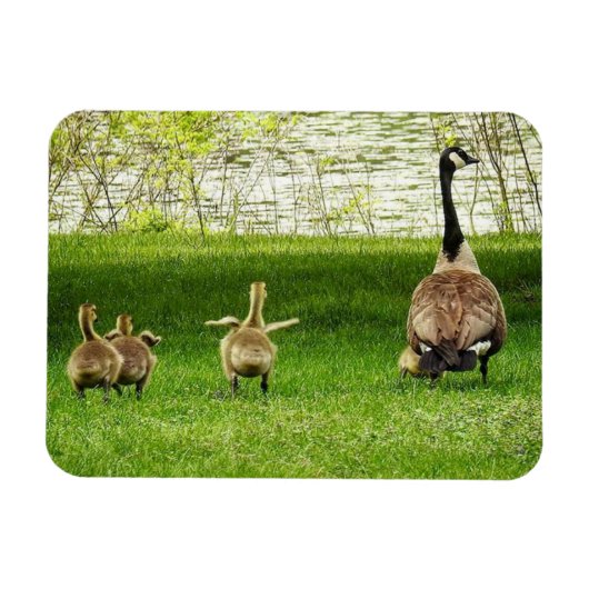 Mama Goose en Goofy Baby Magneet (Horizontaal)