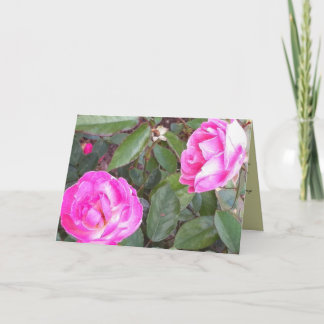 Mama, ik denk van ver aan je kaart