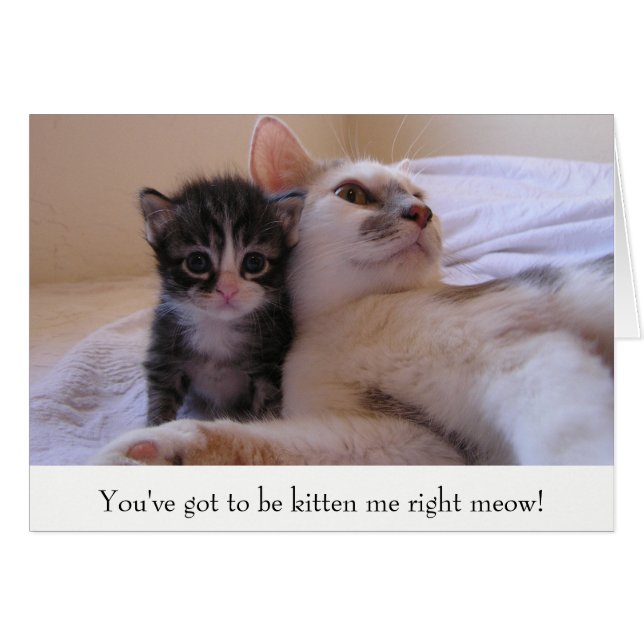 Mama & Kitten (Voorkant Horizontaal)