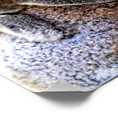 Mama Koala and Baby Joey in a Tree Poster (Hoek)