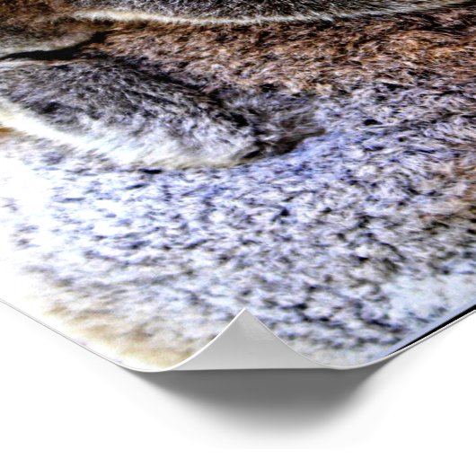 Mama Koala and Baby Joey in a Tree Poster (Hoek)