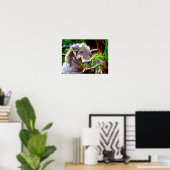 Mama Koala and Baby Joey in a Tree Poster (Thuiskantoor)