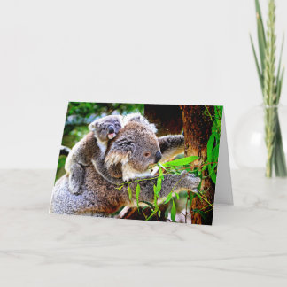 Mama Koala en Baby Joey in een Boom Kaart
