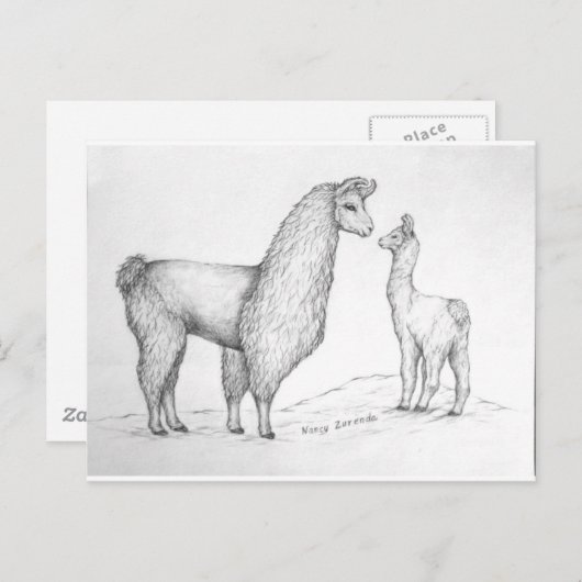 Mama Llama en Cria Briefkaart (Voorkant / Achterkant)