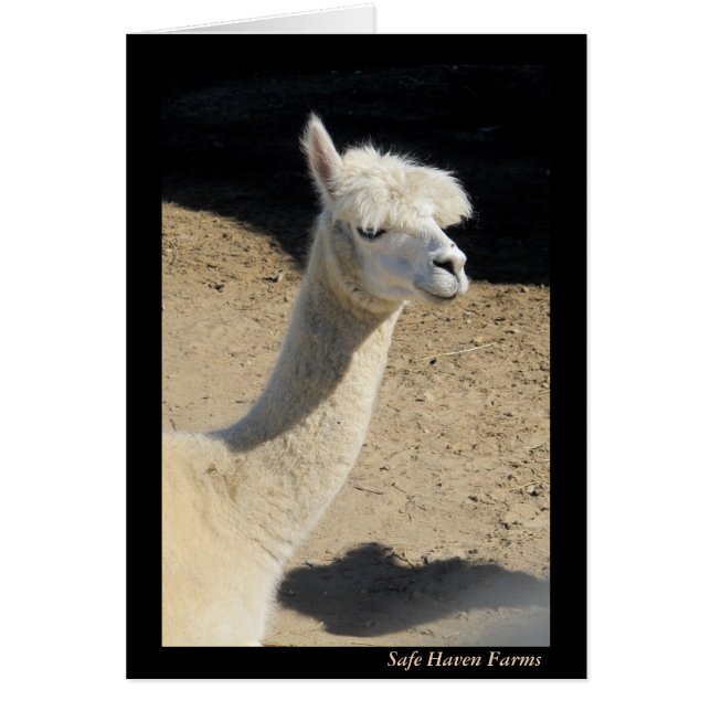 Mama Llama Note Card (Voorkant)