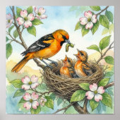 Mama Oriole en Kuikens Kwekerij Poster (Voorkant)