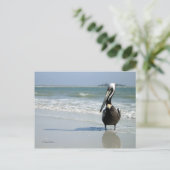 Mama Pelican Briefkaart (Staand voorkant)