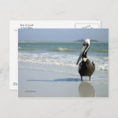 Mama Pelican Briefkaart (Voorkant / Achterkant)