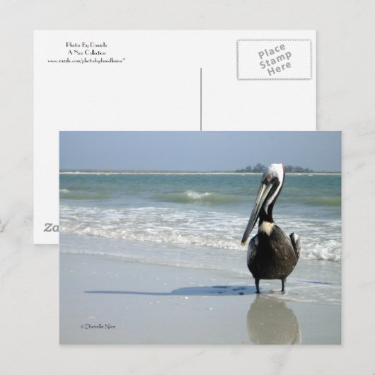 Mama Pelican Briefkaart (Voorkant / Achterkant)