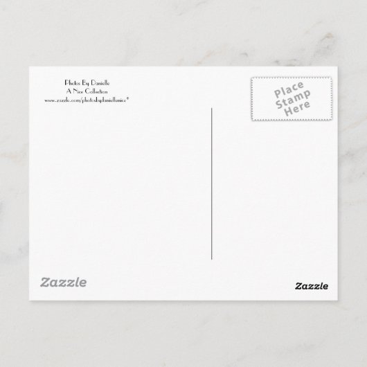 Mama Pelican Briefkaart (Achterkant)