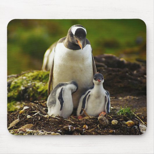 Mama Penguin en baby's Muismat (Voorkant)