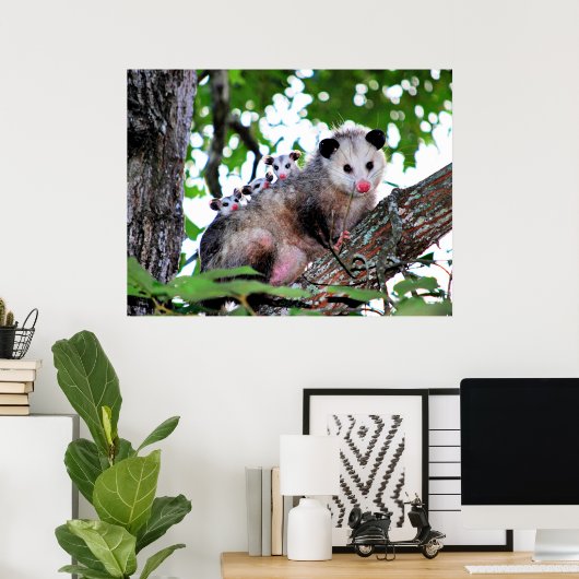 Mama Possum en Babies Poster (Thuiskantoor)