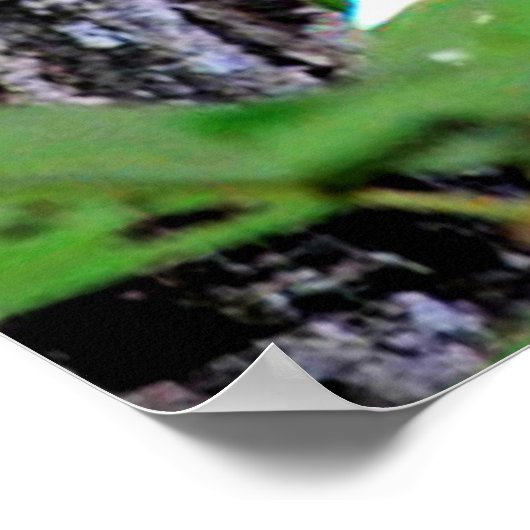 Mama Possum en Babies Poster (Hoek)