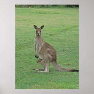 Mama Roo en Joey Poster