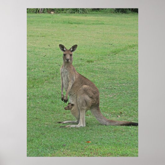 Mama Roo en Joey Poster (Voorkant)
