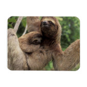 Mama Sloth en Baby Magnet Magneet (Horizontaal)