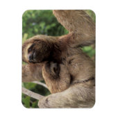 Mama Sloth en Baby Magnet Magneet (Verticaal)