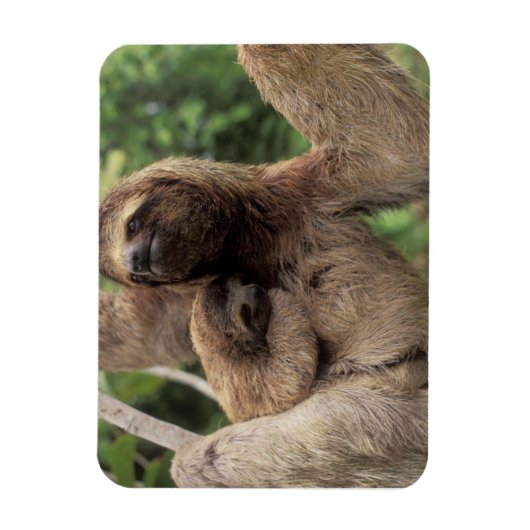Mama Sloth en Baby Magnet Magneet (Verticaal)
