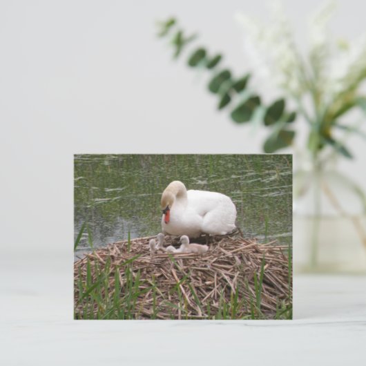 Mama Swan en Babies Briefkaart (Staand voorkant)