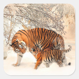 Mama Tiger en Baby Tiger in Sneeuwticker Vierkante Sticker