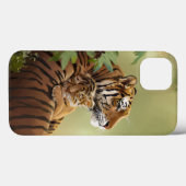 Mama tijger en baby tijger die slaapt Case-Mate iPhone case (Achterkant (horizontaal))