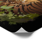 Mama tijger en baby tijger die slaapt poster (Hoek)