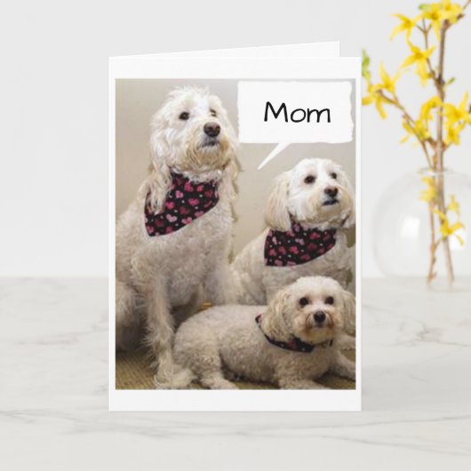 MAMA WENST EEN VROLIJKE MOEDERDAG VAN 3 PUPS KAART (Gele Bloem)