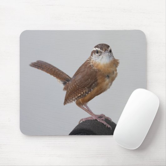 Mama Wren Muismat (Met muis)