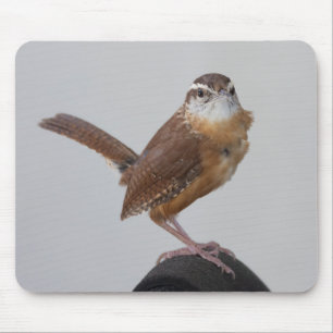 Mama Wren Muismat