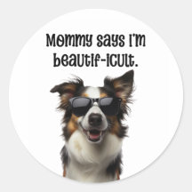 Mama zegt dat ik mooi grappig border collie ben