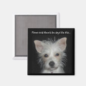 Mama zei dat er dagen zouden zijn zoals deze honde magneet (Voorkant / Achterkant)