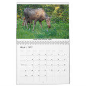 Mamas & Little Ones: A 2026 Wildlife Calendar Kalender (Mar 2027)