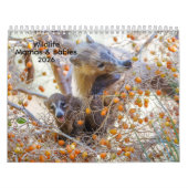 Mamas & Little Ones: A 2026 Wildlife Calendar Kalender (Hoes)