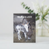 Mama's Love Post Card Briefkaart (Staand voorkant)