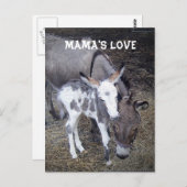 Mama's Love Post Card Briefkaart (Voorkant / Achterkant)