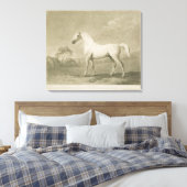 Mambrino, na George Stubbs, 1788 (mezzotint) Canvas Afdruk (Insitu (Slaapkamer))