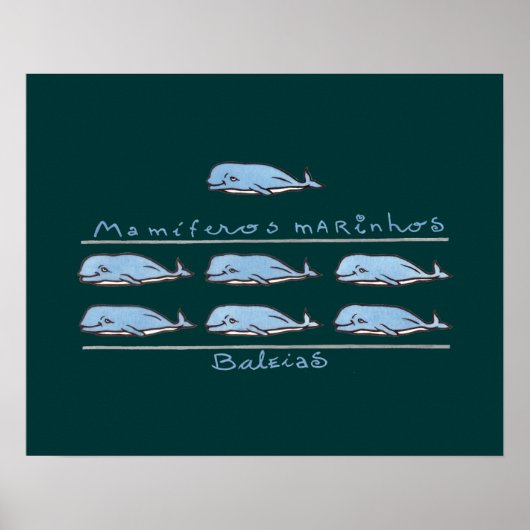 mamíferos marinhos - baleias poster (Voorkant)