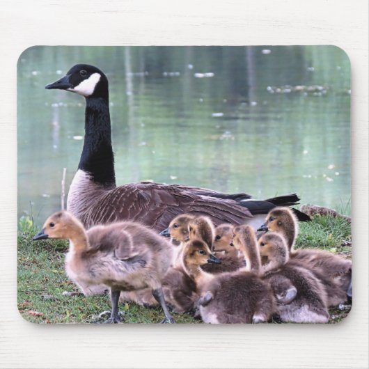 Mamma Goose en baby's Muismat (Voorkant)