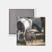 mammie en Baby Magneet (Voorkant / Achterkant)